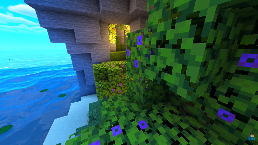 Minecraft 1.21.101 1